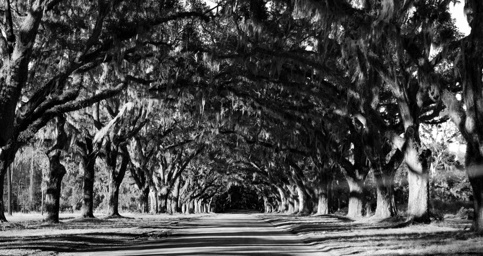 Boone Hall Plantation