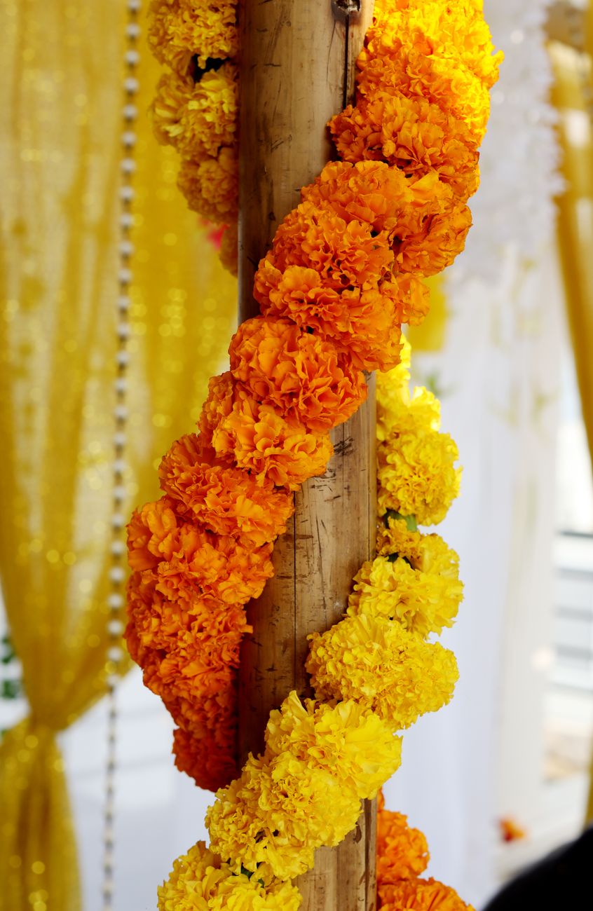 Priya & Wesley — Montage Palmetto Bluff, Bluffton, SC